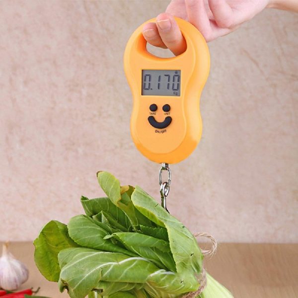 50Kg Hanging Scale Digital BackLight Electronic Luggage Scales For Fishing Portable Scale - Image 3