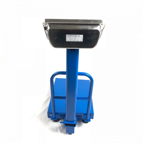 DAWOOD Industrial 300kg Platform Scale with backrail Electronic balance Digital Weight Scale with rail - Image 3